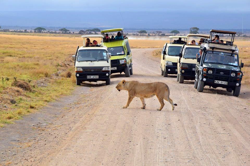 ULTIMATE AFRICA EXPEDITIONS KENYA