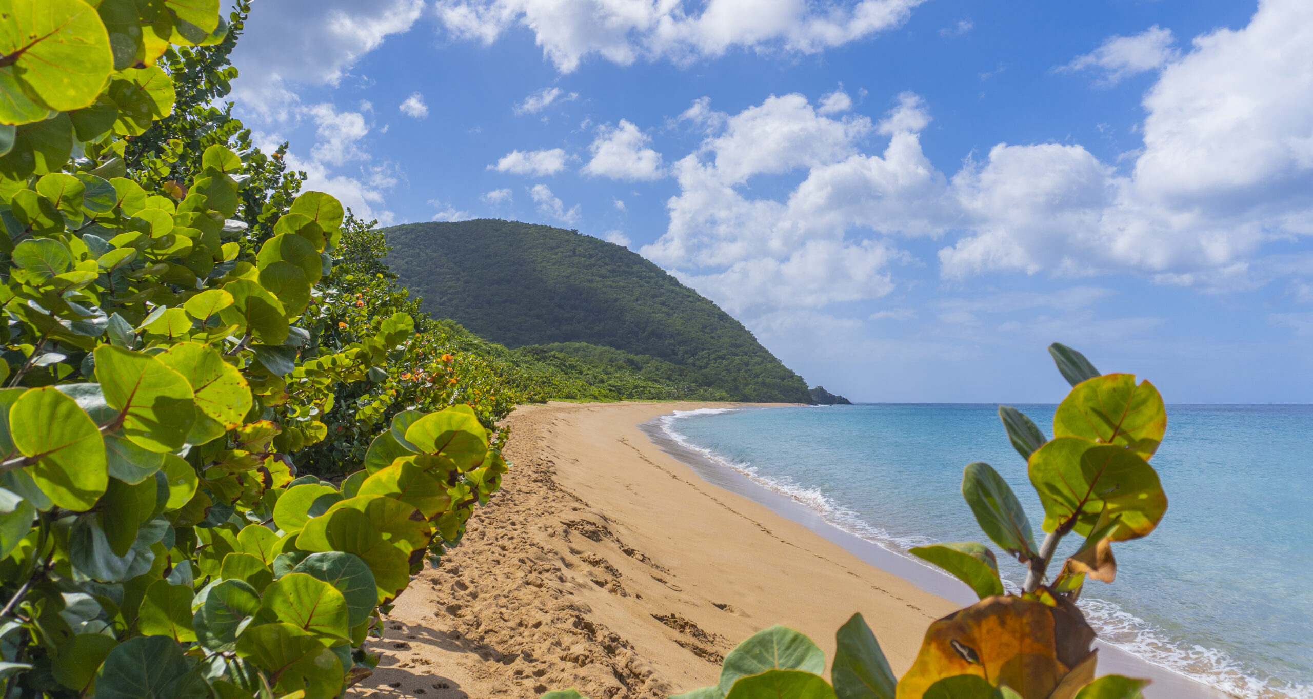 LES ILES DE GUADELOUPE